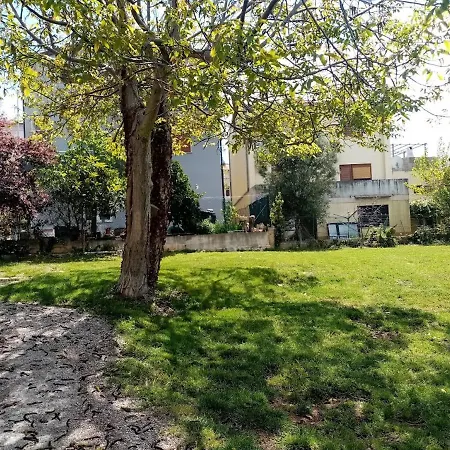 Istriensonne - Lucano Apartment *